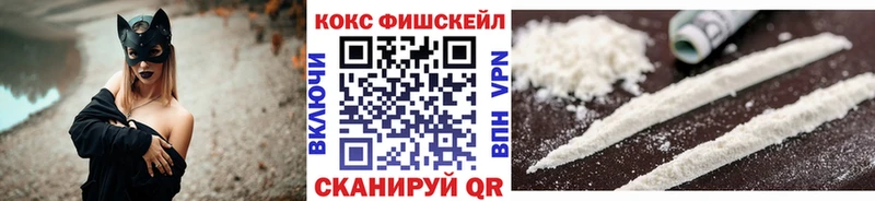 наркотики  Гаджиево  КОКАИН Эквадор 