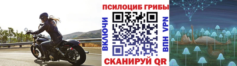 магазин продажи наркотиков  Гаджиево  Псилоцибиновые грибы прущие грибы 