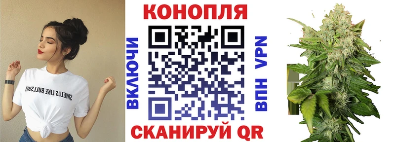 где купить   Гаджиево  Каннабис VHQ 